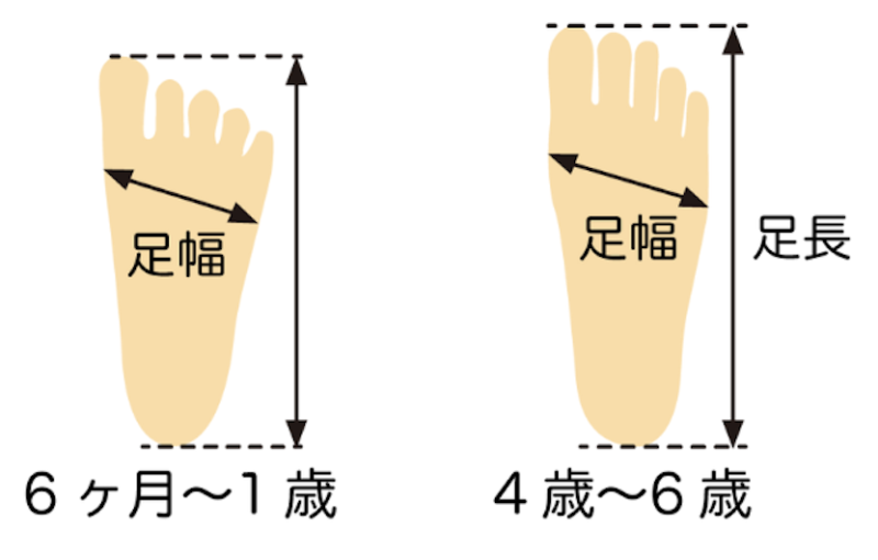 足の形
