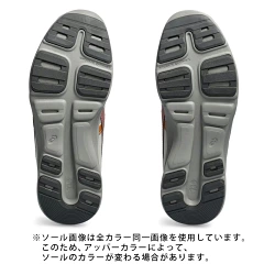 ライフウォーカー1242a018