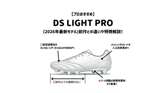 DSlight pro表紙 (1)