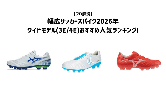 ワイドモデル比較