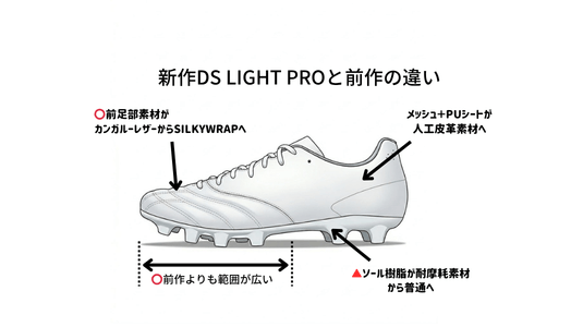 DS light proの違い (1)