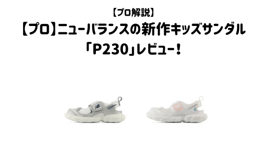 p230アイキャッチ画像
