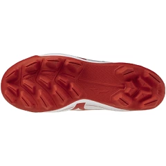 クッションレボダイア Jr._sole
